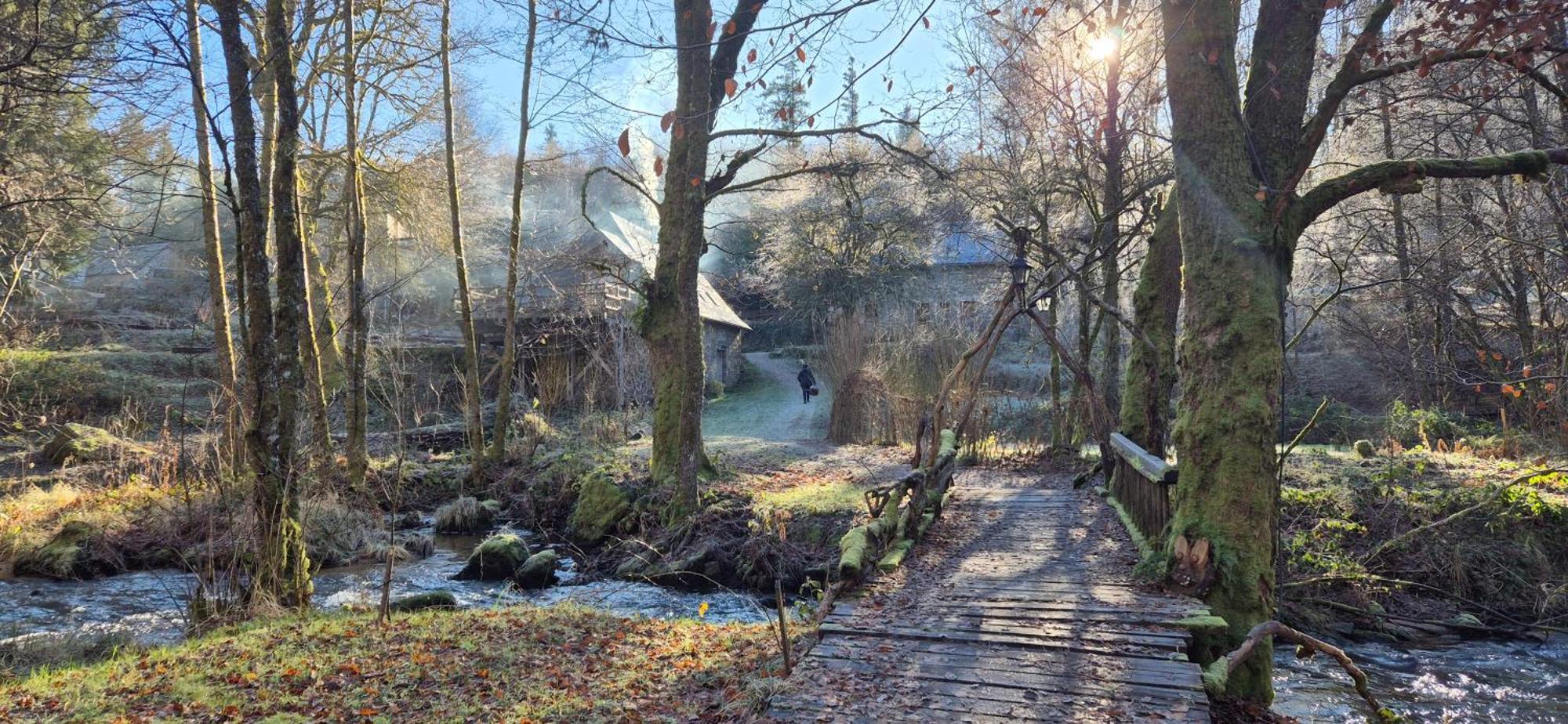 Gite Nature Au Pied Des Hetres Vitrac-sur-Montane Dış mekan fotoğraf